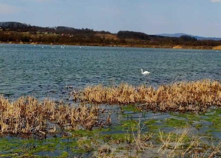 jezero