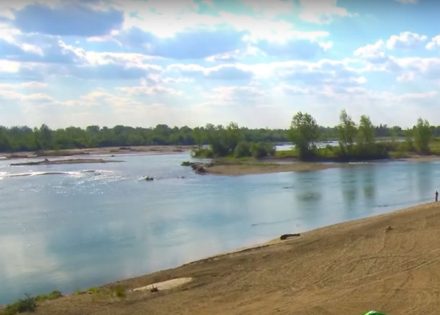 drina