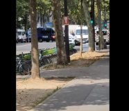 pariz