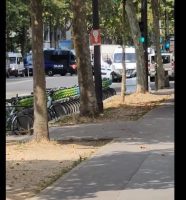 pariz