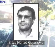 Gajanović