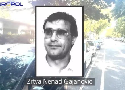 Gajanović