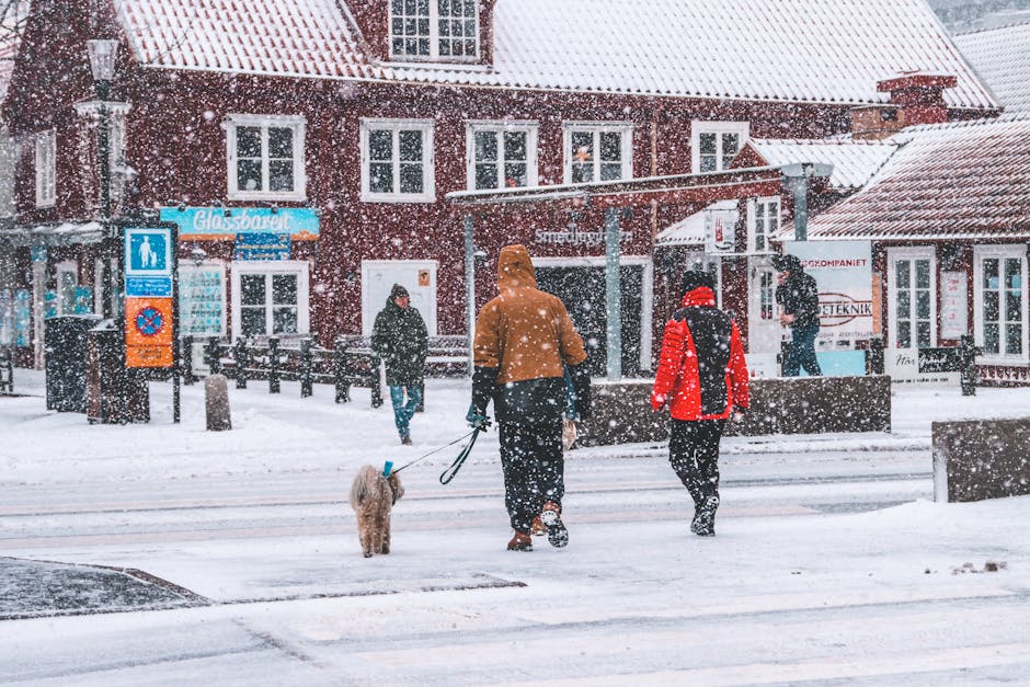 Snijeg pokrio Evropu: Otkazani letovi, vozovi, trajekti i kamioni u zastoju