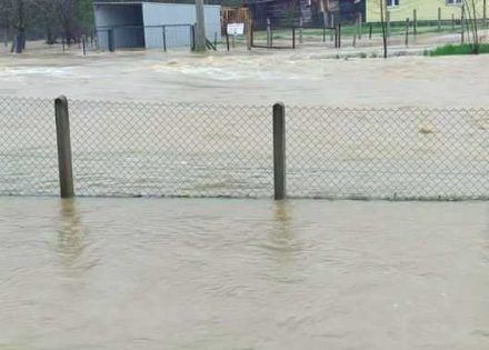 poplave