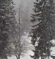 jahorina