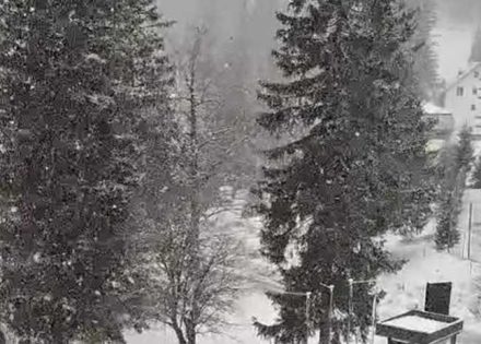 jahorina