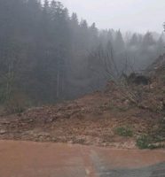 kozara