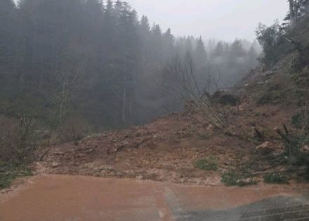kozara