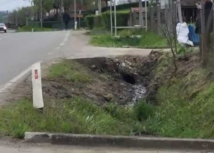 laktasi
