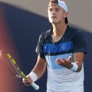 tenis