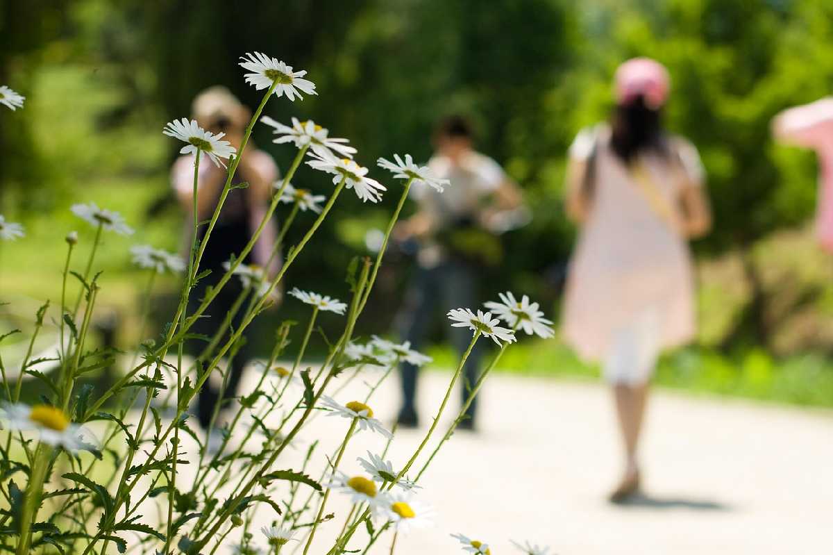 Evropu čeka prvi veliki toplotni talas: Temperature idu i do 40 stepeni