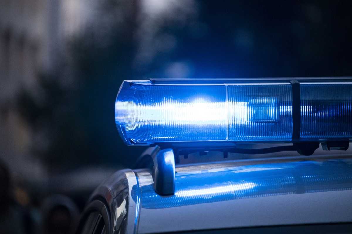 Zaplijenjeno više od 200 kilograma droge: Velika akcija hapšenja u Beogradu