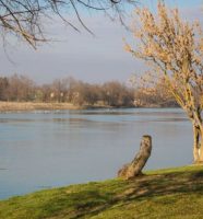 Sava