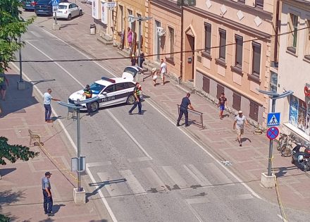 BiH