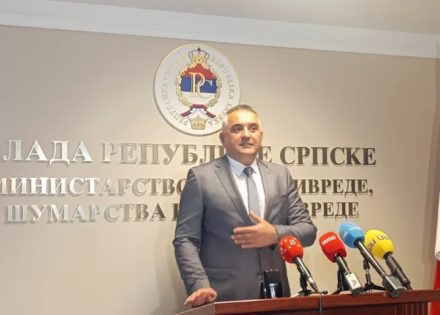 Savo Minić