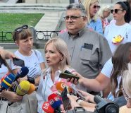 mišić