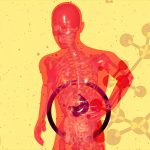 lijek za masnu jetru