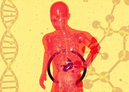 lijek za masnu jetru