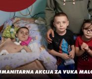Vuk Mali