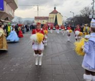 Praznik mimoze