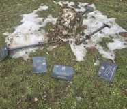 vandalizam