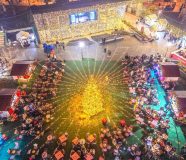 zimske manifestacije