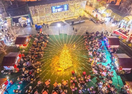 zimske manifestacije