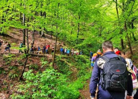 Banjalučka transverzala