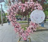 Festival cvijeća