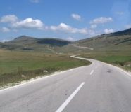 manjača