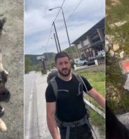 Božidar Damjanović