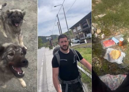 Božidar Damjanović