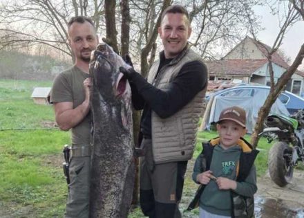 soma od 42 kilograma