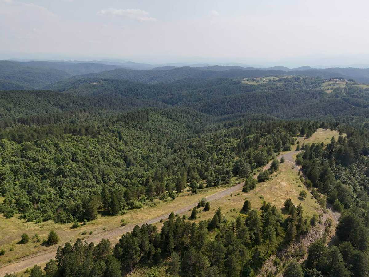 Referendum u Petrovu: Građani sutra odlučuju o geološkim istraživanjima metala na Ozrenu