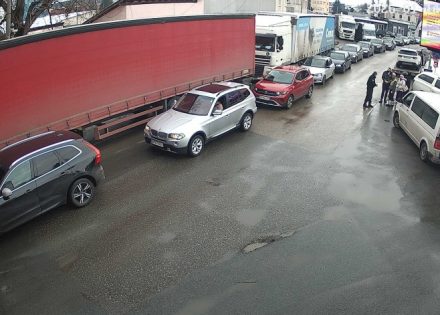 gužva