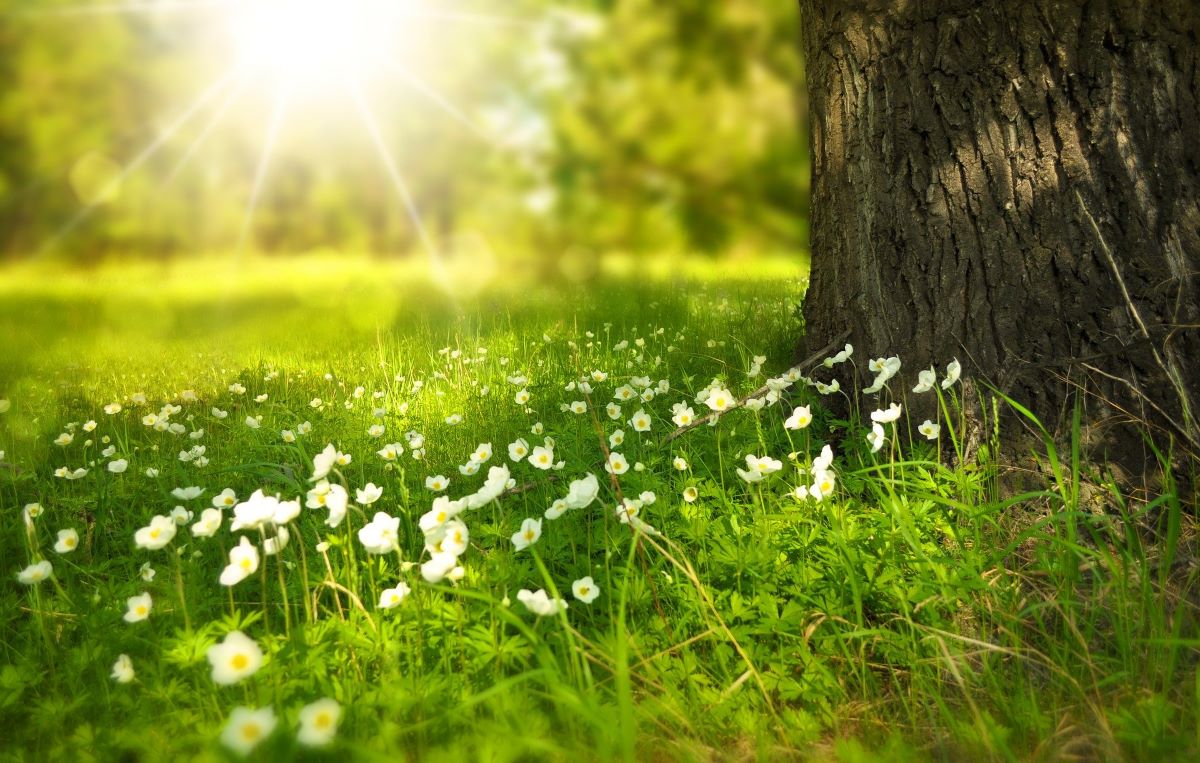 Sunce preuzima dan: Temperatura danas ide do 25 stepeni