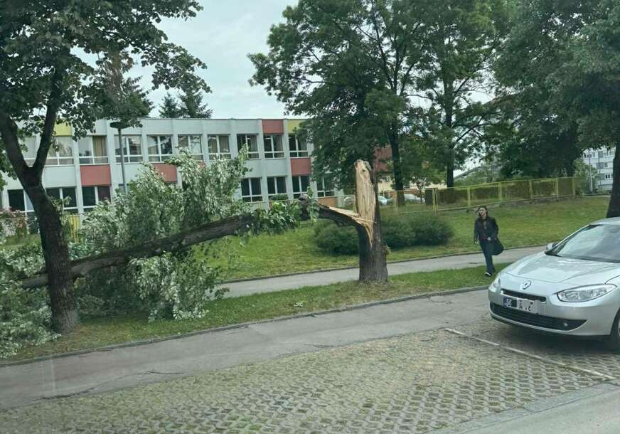 Intervenisali vatrogasci: Palo drvo u blizini osnovne škole u Banjaluci (Foto)