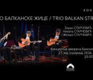 Trio Balkanske žice