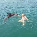 Delfin