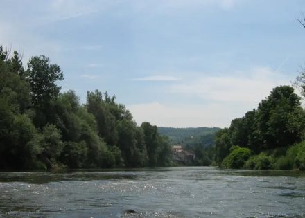 bosne