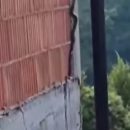 zmija