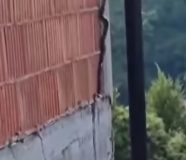 zmija