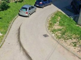 Čistoća