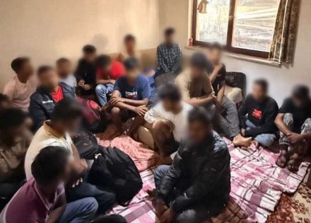 migranti
