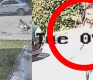 Pljačka