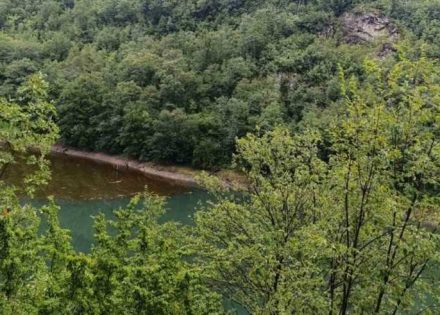Vrbas