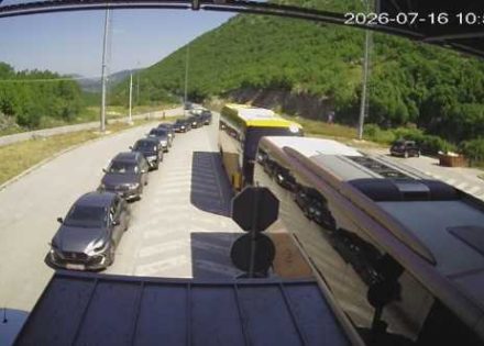 gužva