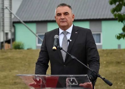 Minić