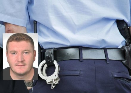 desetine policajaca