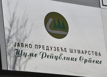 Šume